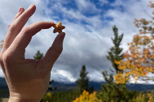 This, Not That: What to Look for (and What to Avoid) in Baby & Kids Snacks