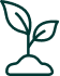 Plant protein